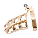 Brutal Stainless Steel Chastity Cage - Gold