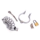 Chastity Cage /w Penis Stick