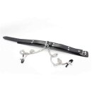 Collar with Nipple Chain