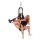 Whipsmart Bondage Pleasure Swing Black