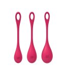 Satisfyer Yoni Power 1 Training Set Rot
