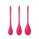 Satisfyer Yoni Power 1 Training Set Rot
