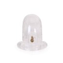 Plastic Chastity Cage Clear