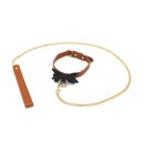 Brown Leather Bow Tie Collar & Leash