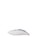 Evolved Anywhere Vibe