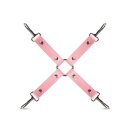 Secret Pleasure Chest Pink Pleasure