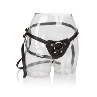 Her Royal Harness The Countess Black