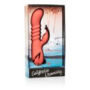 Orange County Cutie Orange