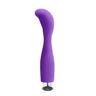 Bird Of Paradise XL Vibe Purple