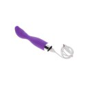 Bird Of Paradise XL Vibe Purple