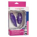 Remote Pulsating Panty Teaser Purple