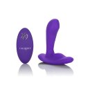 Remote Pinpoint Pleaser Purple