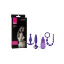 Hers Anal Kit Purple