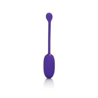 Recharg. Kegel Ball Starter Purple