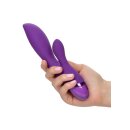 Aura Dual Lover Purple