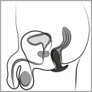 ANOS Butt plug with vibration