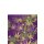 Prints Charming Buzzed 5 Inch Mini Vibe Purple Haze
