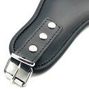 Leather Holding Collar