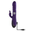 Evolved Rascally Rabbit