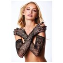 Baci Allover Lace Opera Glove
