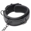 Collared Temptress Collar with Nipple Clamps