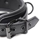 Collared Temptress Collar with Nipple Clamps