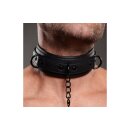 Collared Temptress Collar with Nipple Clamps