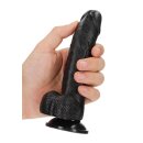 Curved Realistic Dildo  Balls  Suction Cup 6/ 15,5 cm