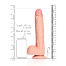 Straight Realistic Dildo  Balls  Suction Cup - 10/ 25,5 cm