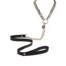 Statement Collar and leash