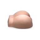 Realistic Pussy and Ass