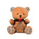 Gagged Teddy Bear Plush