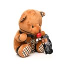 Gagged Teddy Bear Plush