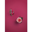 Loveline Vibro Ei mit Fernbedienung Erdbeerrot