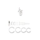 ManCage model 25 chastity cage transparent 9 cm