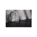 ManCage model 26 chastity cage transparent 11.5 cm