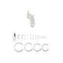 ManCage model 26 chastity cage transparent 11.5 cm