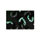 Shots Vibro Prostata Massagegerät schwarz