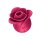 Satisfyer Pro 2 Modern Rose