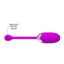 Pretty Love vibrierendes Ei Brook violett