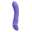 Pretty Love Vibrator Truda violett blau