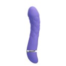 Pretty Love Vibrator Truda violett blau