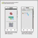 Pretty Love Geisha Balls Elvira vibrierend ferngesteuert per App