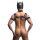 XR Brands Complete Petplay Puppy Set black