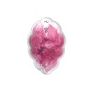 Satisfyer Vibrator Cloud Dancer - Red print