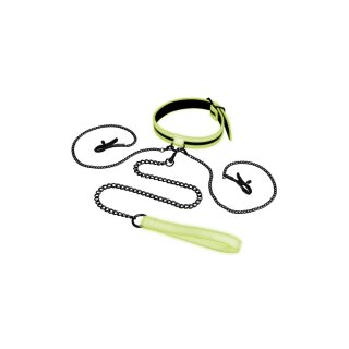 Whipsmart collar with nipple clips and leash