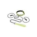 Whipsmart Halsband mit Nippel Clips und Leine