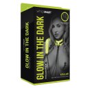 Whipsmart collar with nipple clips and leash