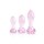 Dream Toys Rose Glass Anal Plugs Training Set pink