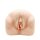 Lifelike Pussy Masturbator